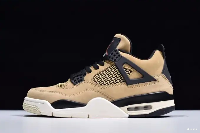 TB Mushroom Jordan AQ9129-200 4 Air 0526